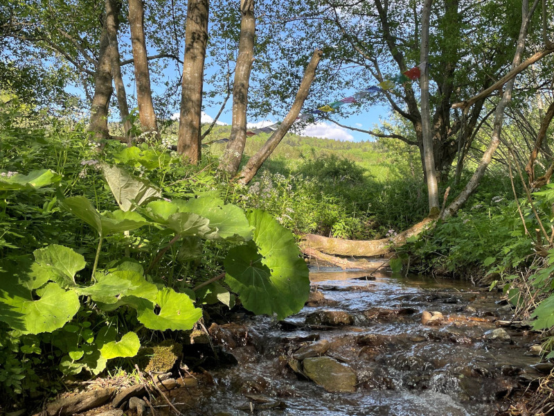 Ecological agritourism, wild Carpathians