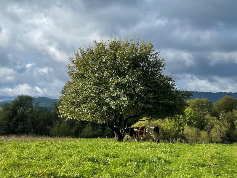 Ecological agritourism, wild nature