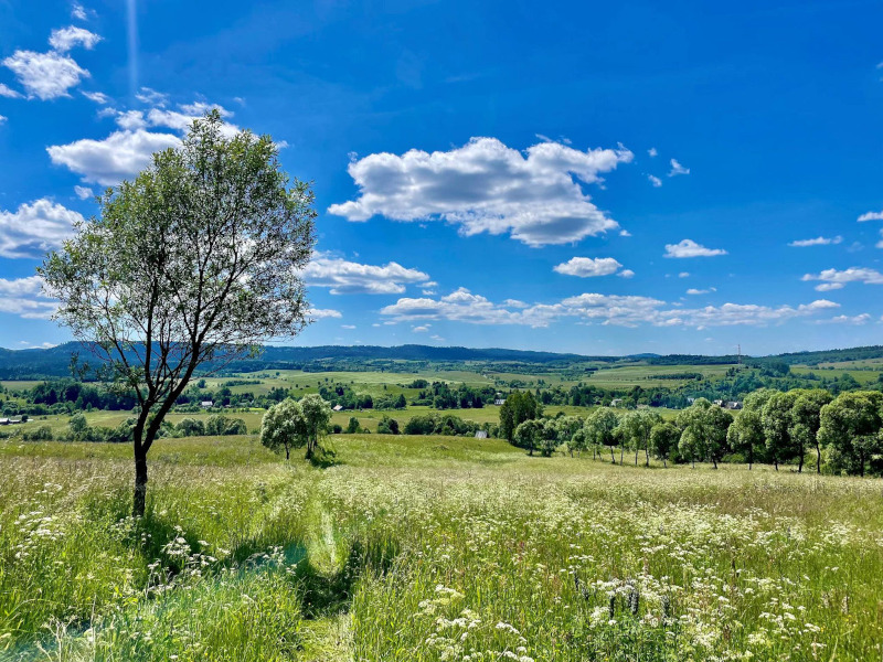 Ecological agritourism, wild nature